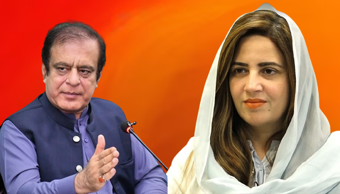 زرتاج گل اور شبلی فراز کو 11 اگست تک حفاظتی ضمانت مل گئی